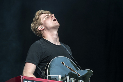 the wombats